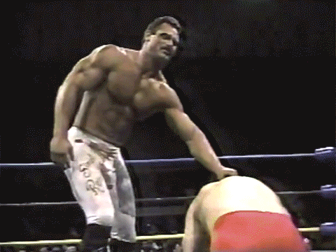 Rick Rude Diamond Dan Garza