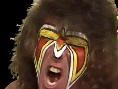 Ultimate Warrior Thanksgiving Super Ninja