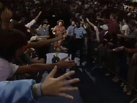 Ultimate Warrior Thanksgiving Super Ninja