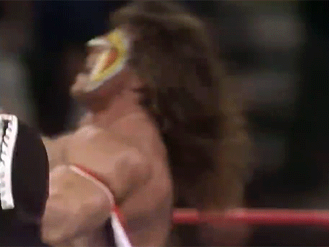 Ultimate Warrior Thanksgiving Super Ninja