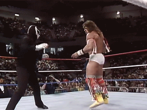 Ultimate Warrior Thanksgiving Super Ninja