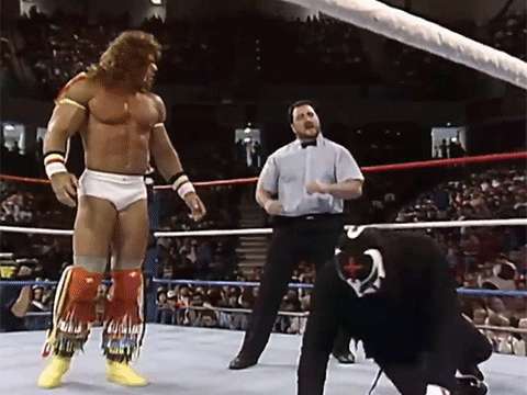 Ultimate Warrior Thanksgiving Super Ninja