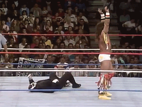 Ultimate Warrior Thanksgiving Super Ninja