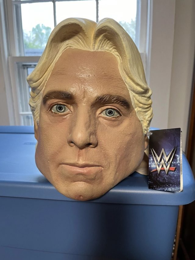Ric Flair realistic mask