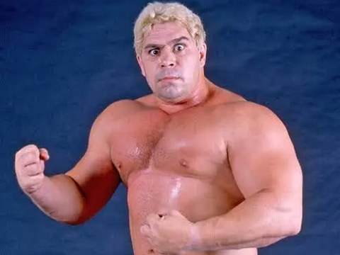 Dino Bravo