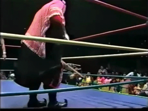 Abdullah the Butcher Randy Hogan