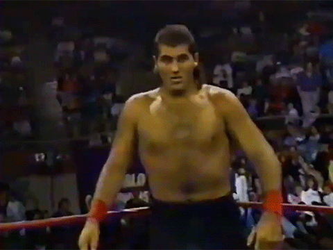 El Gigante Bill Ford