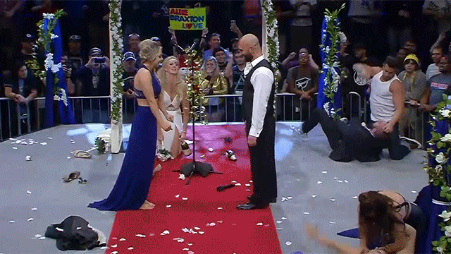 Chelsea Green Laurel Van Ness