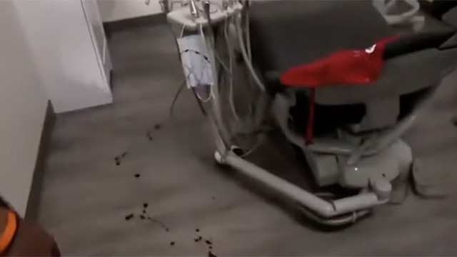 Tooth and Nail Match Dr. Britt Baker DMD Big Swole