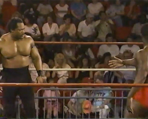 Doom Ron Simmons Butch Reed Teddy Long