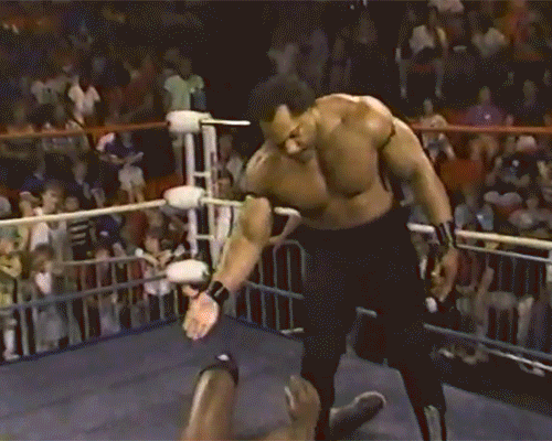 Doom Ron Simmons Butch Reed Teddy Long