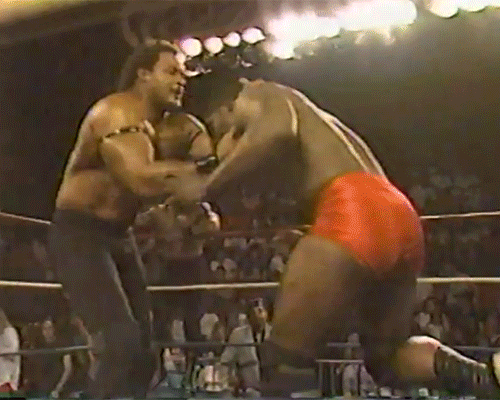 Doom Ron Simmons Butch Reed Teddy Long