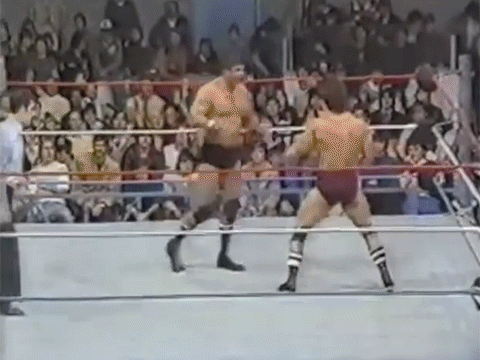 Magnificent Muraco Paul Roma