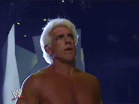 Hulk Hogan Ric Flair 1st WWF Match