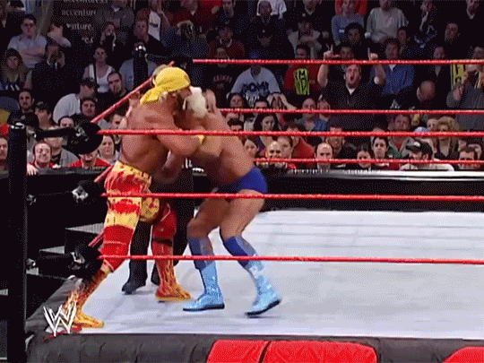 Hulk Hogan Ric Flair 1st WWF Match