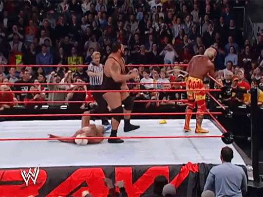 Hulk Hogan Ric Flair 1st WWF Match