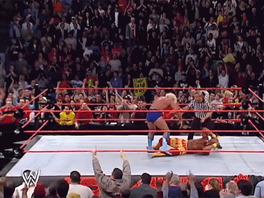 Hulk Hogan Ric Flair 1st WWF Match