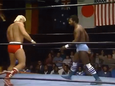 Ron Garvin