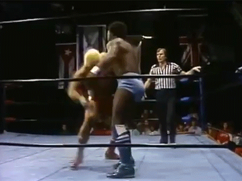 Ron Garvin