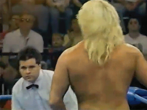 Terra Ryzing Paul Levesque Triple H WCW
