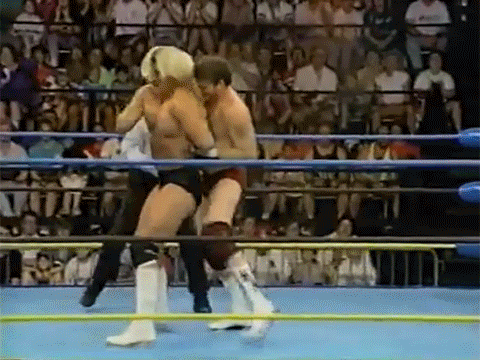 Terra Ryzing Paul Levesque Triple H WCW