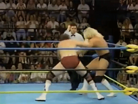 Terra Ryzing Paul Levesque Triple H WCW