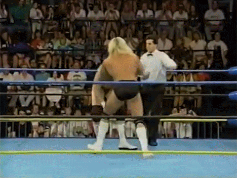 Terra Ryzing Paul Levesque Triple H WCW