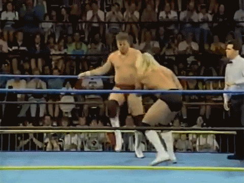 Terra Ryzing Paul Levesque Triple H WCW