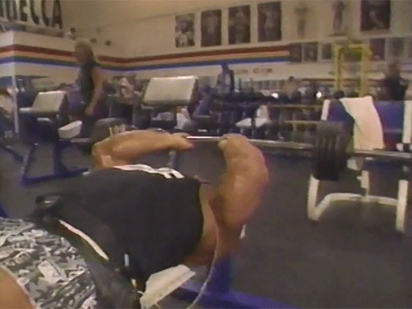 WBF Bodystars Debut Vince McMahon