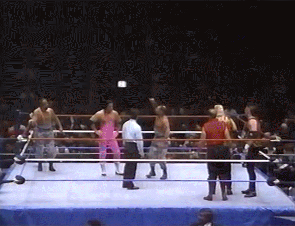 Bushwhacker Bret Hart Bushwhackers