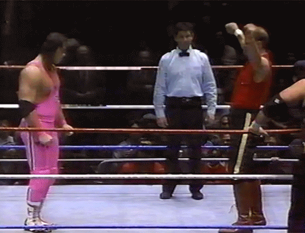 Bushwhacker Bret Hart Bushwhackers