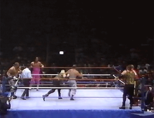 Bushwhacker Bret Hart Bushwhackers