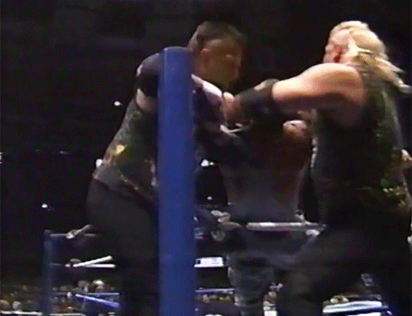 Bushwhacker Bret Hart Bushwhackers