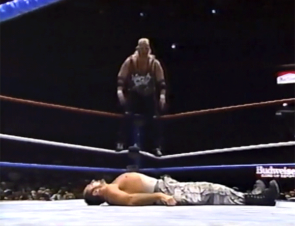 Bushwhacker Bret Hart Bushwhackers