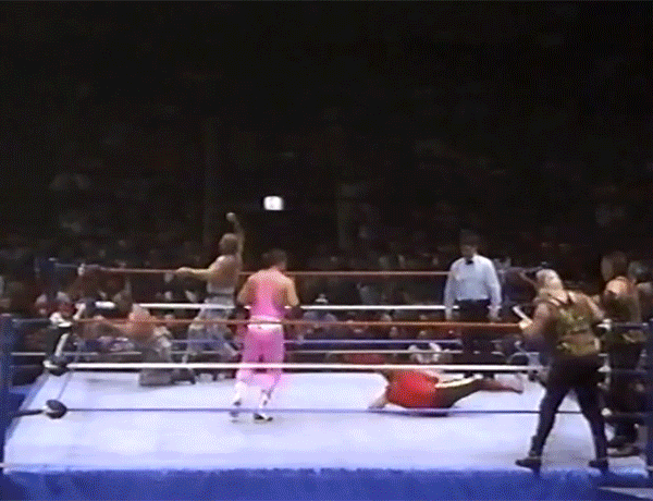 Bushwhacker Bret Hart Bushwhackers