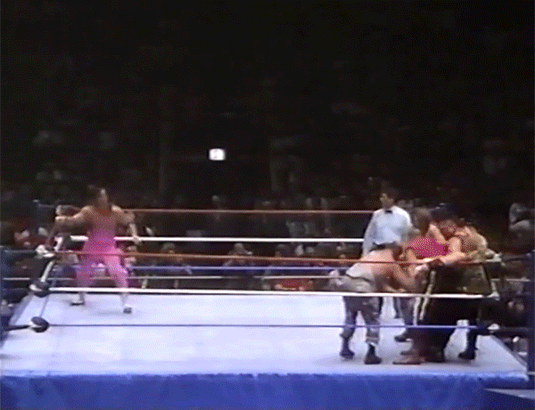 Bushwhacker Bret Hart Bushwhackers