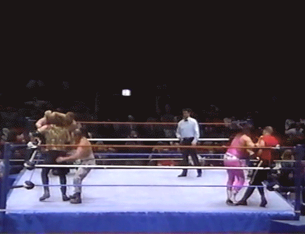 Bushwhacker Bret Hart Bushwhackers