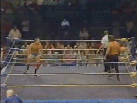 Terry Funk The Pug Alex Porteau