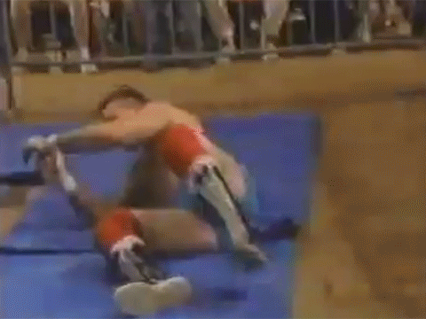Terry Funk The Pug Alex Porteau