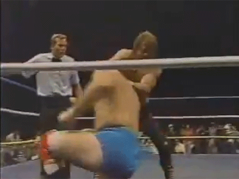 Terry Funk The Pug Alex Porteau