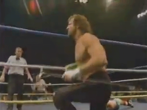 Terry Funk The Pug Alex Porteau