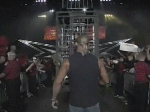 Miss Elizabeth Pro Wrestler Matches WCW WWF Vince Russo