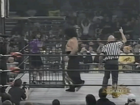 Miss Elizabeth Pro Wrestler Matches WCW WWF Vince Russo