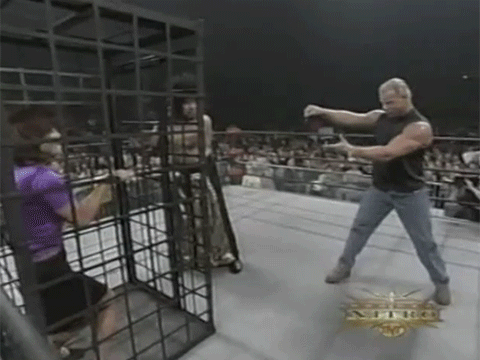 Miss Elizabeth Pro Wrestler Matches WCW WWF Vince Russo