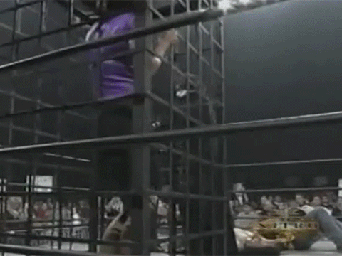 Miss Elizabeth Pro Wrestler Matches WCW WWF Vince Russo