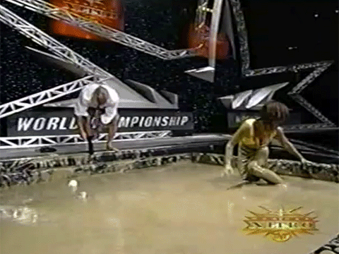 Miss Elizabeth Pro Wrestler Matches WCW WWF Vince Russo