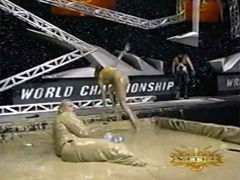 Miss Elizabeth Pro Wrestler Matches WCW WWF Vince Russo