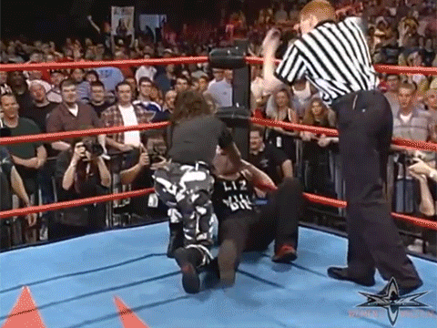 Miss Elizabeth Pro Wrestler Matches WCW WWF Vince Russo