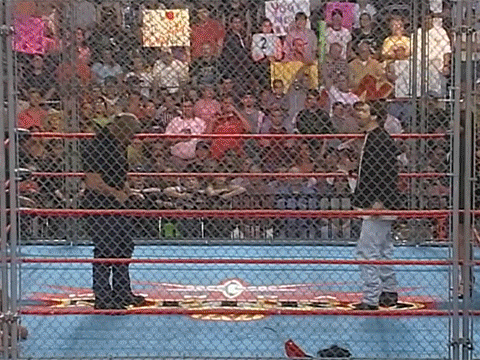 Miss Elizabeth Pro Wrestler Matches WCW WWF Vince Russo