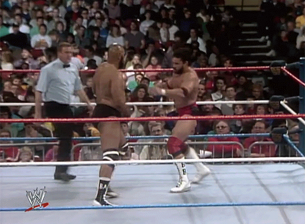Bad News Brown WWF Debut